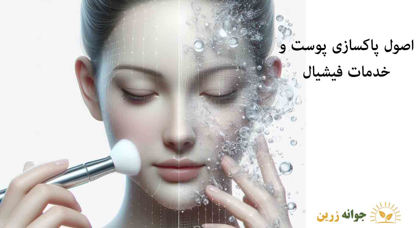 Principles-of-skin-cleansing-and-facial-services