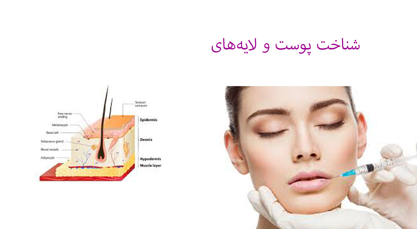 Understanding-the-skin-for-filler-and-Botox-injections